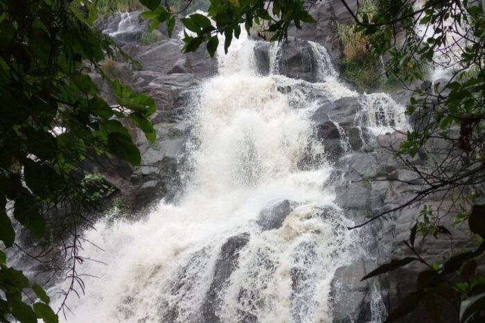 Waterfall Hike to Mahoma Falls